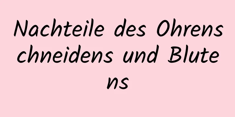 Nachteile des Ohrenschneidens und Blutens