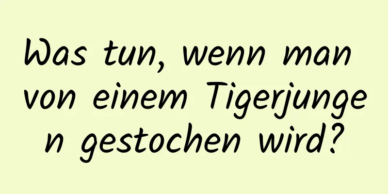 Was tun, wenn man von einem Tigerjungen gestochen wird?