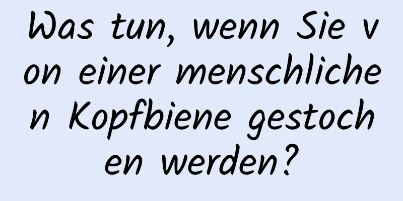 Was tun, wenn Sie von einer menschlichen Kopfbiene gestochen werden?