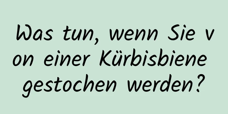 Was tun, wenn Sie von einer Kürbisbiene gestochen werden?