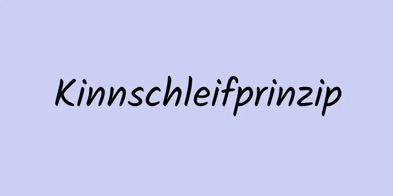 Kinnschleifprinzip