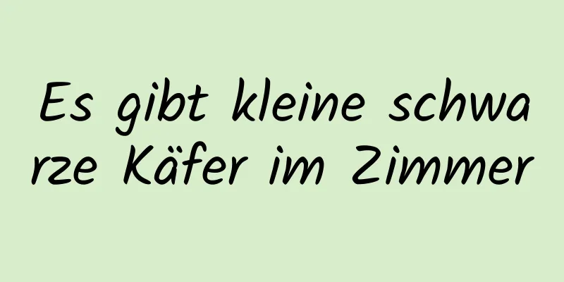 Es gibt kleine schwarze Käfer im Zimmer
