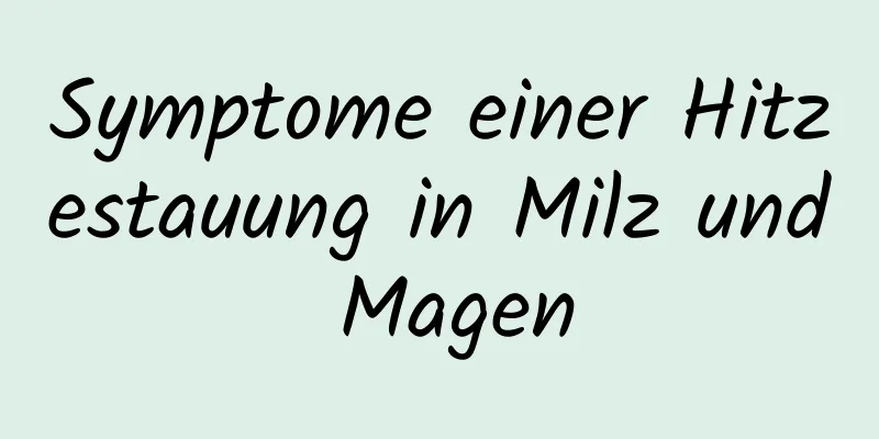Symptome einer Hitzestauung in Milz und Magen
