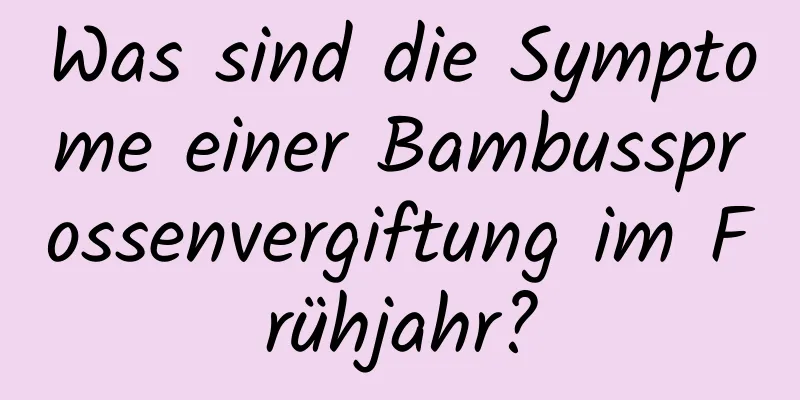 Was sind die Symptome einer Bambussprossenvergiftung im Frühjahr?