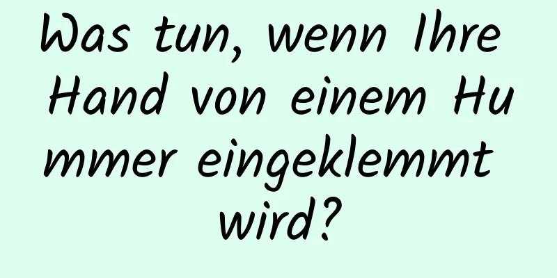 Was tun, wenn Ihre Hand von einem Hummer eingeklemmt wird?