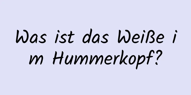 Was ist das Weiße im Hummerkopf?