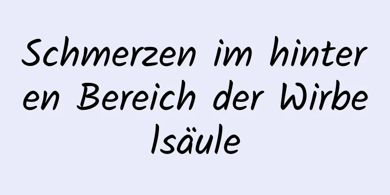 Schmerzen im hinteren Bereich der Wirbelsäule