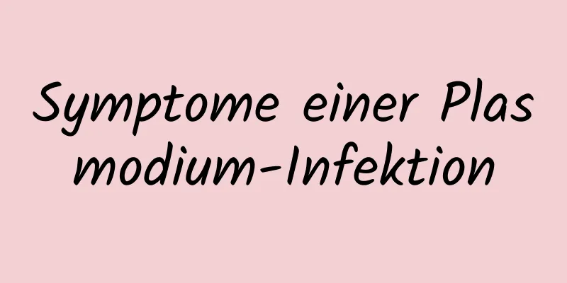Symptome einer Plasmodium-Infektion