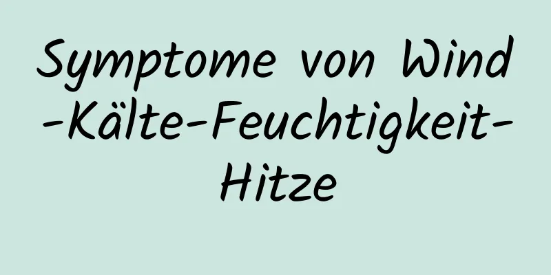 Symptome von Wind-Kälte-Feuchtigkeit-Hitze