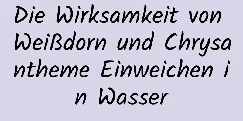 Die Wirksamkeit von Weißdorn und Chrysantheme Einweichen in Wasser
