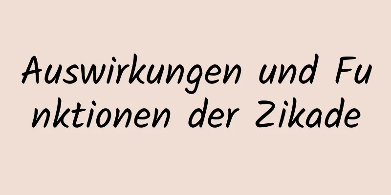 Auswirkungen und Funktionen der Zikade