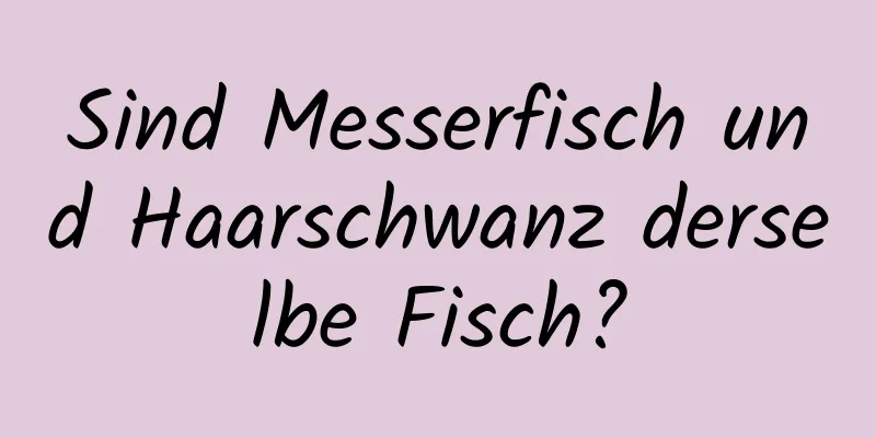 Sind Messerfisch und Haarschwanz derselbe Fisch?