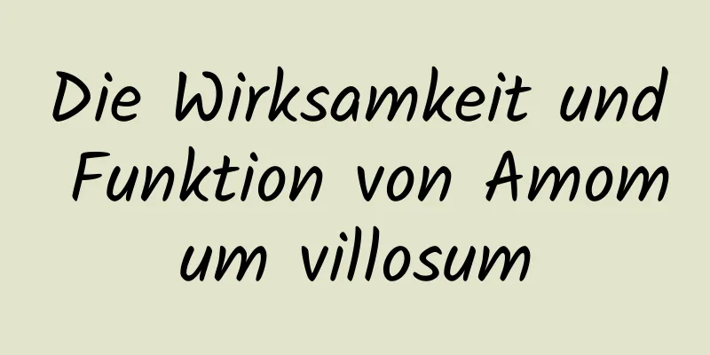 Die Wirksamkeit und Funktion von Amomum villosum