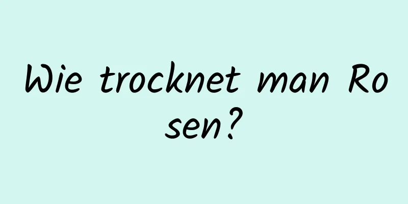 Wie trocknet man Rosen?