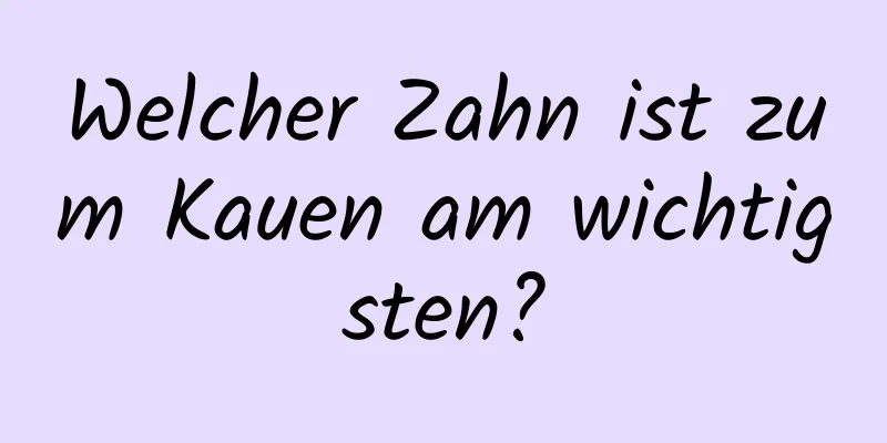 Welcher Zahn ist zum Kauen am wichtigsten?