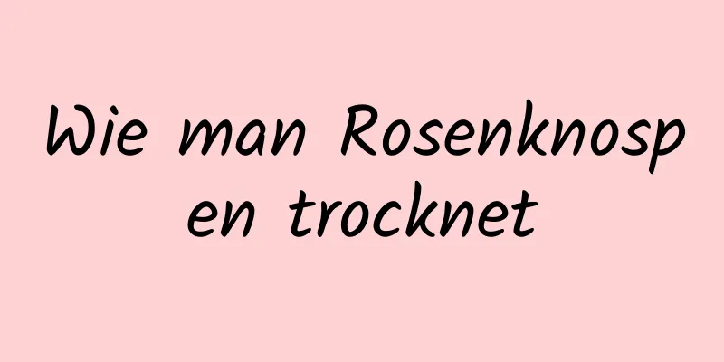 Wie man Rosenknospen trocknet