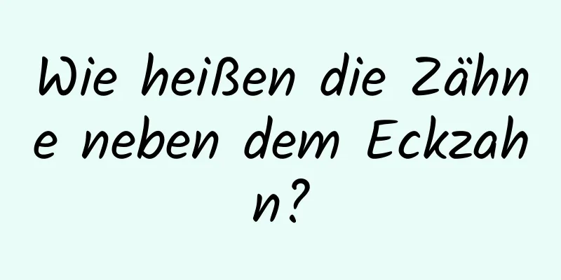 Wie heißen die Zähne neben dem Eckzahn?