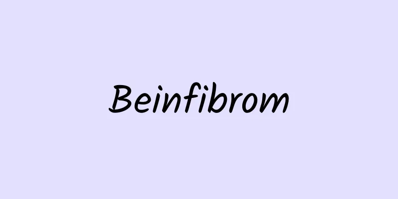 Beinfibrom