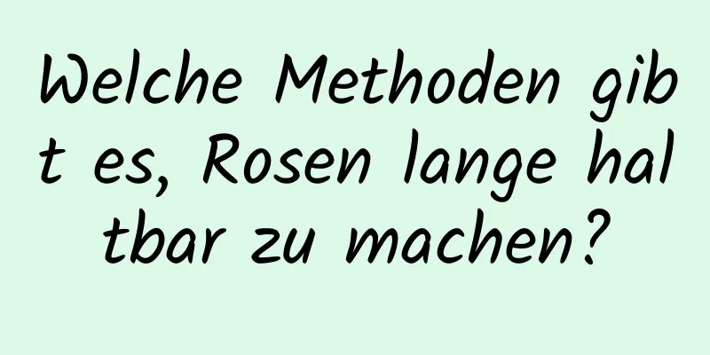 Welche Methoden gibt es, Rosen lange haltbar zu machen?