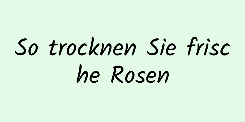 So trocknen Sie frische Rosen