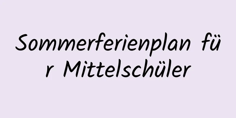 Sommerferienplan für Mittelschüler