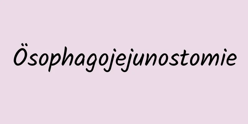 Ösophagojejunostomie