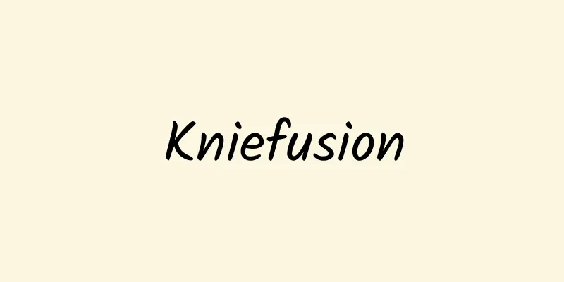 Kniefusion