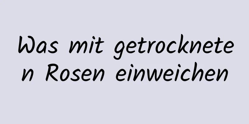 Was mit getrockneten Rosen einweichen