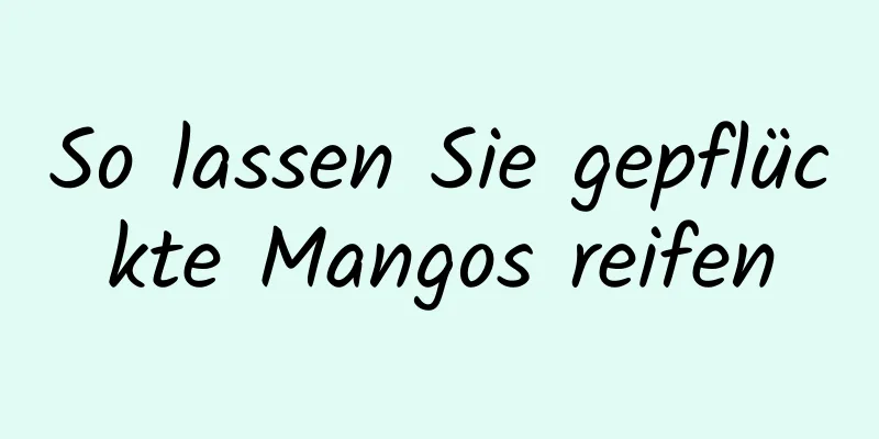 So lassen Sie gepflückte Mangos reifen