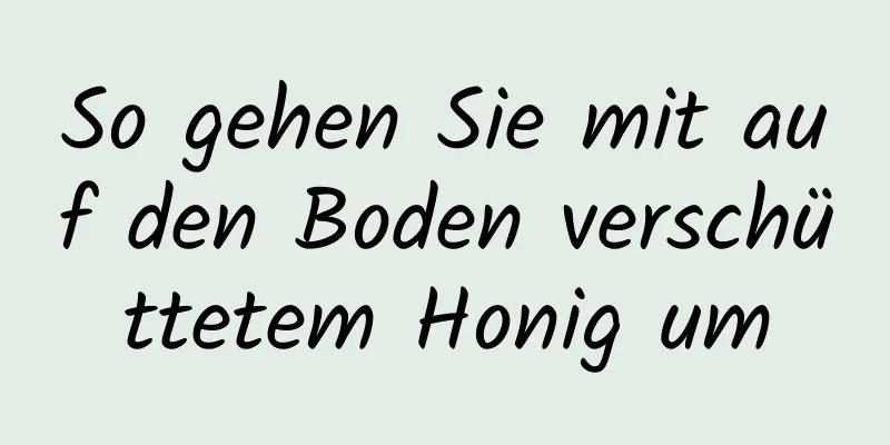 So gehen Sie mit auf den Boden verschüttetem Honig um