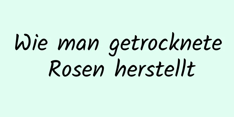 Wie man getrocknete Rosen herstellt