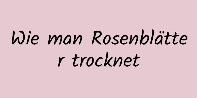 Wie man Rosenblätter trocknet