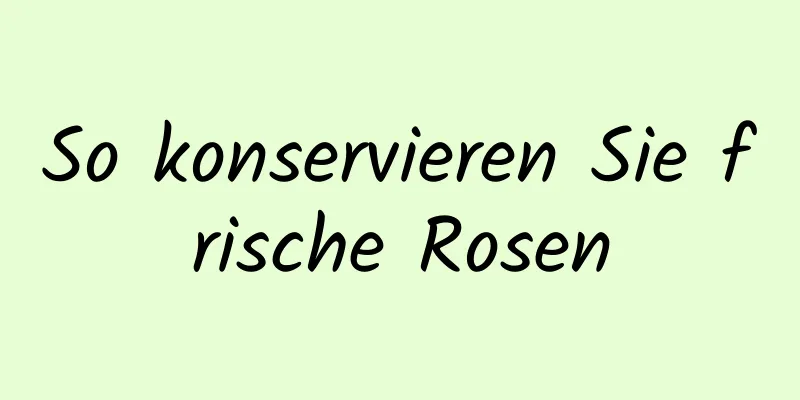 So konservieren Sie frische Rosen