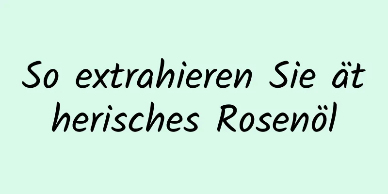 So extrahieren Sie ätherisches Rosenöl