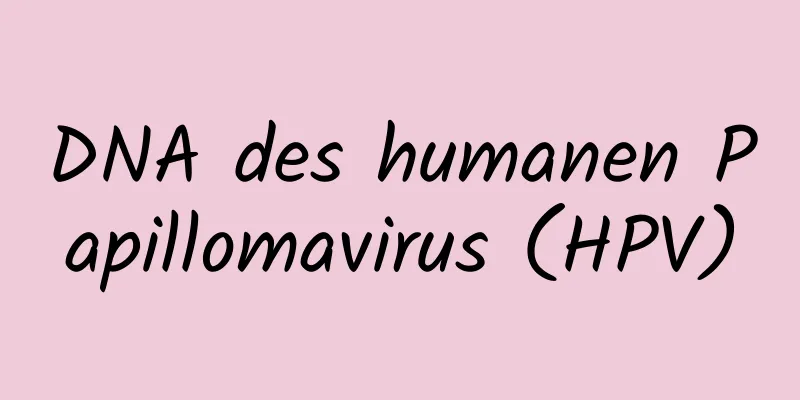 DNA des humanen Papillomavirus (HPV)