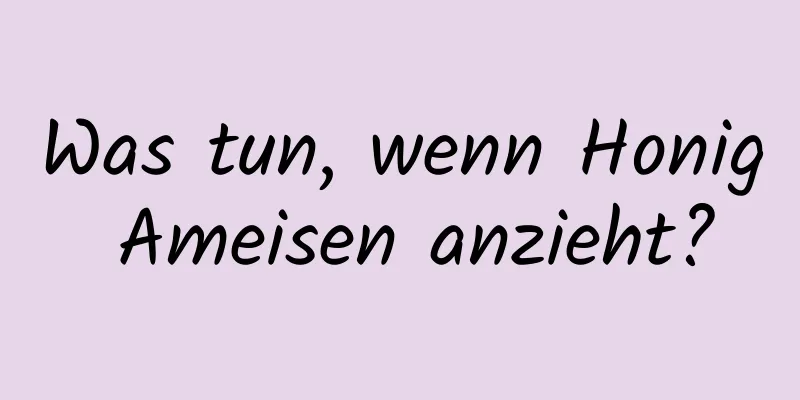 Was tun, wenn Honig Ameisen anzieht?