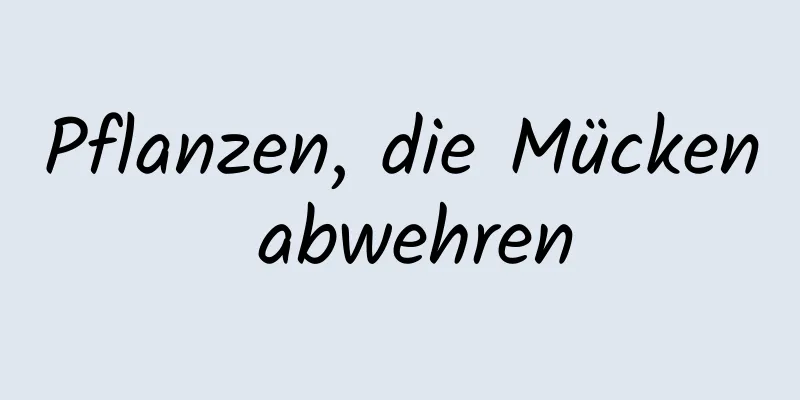 Pflanzen, die Mücken abwehren
