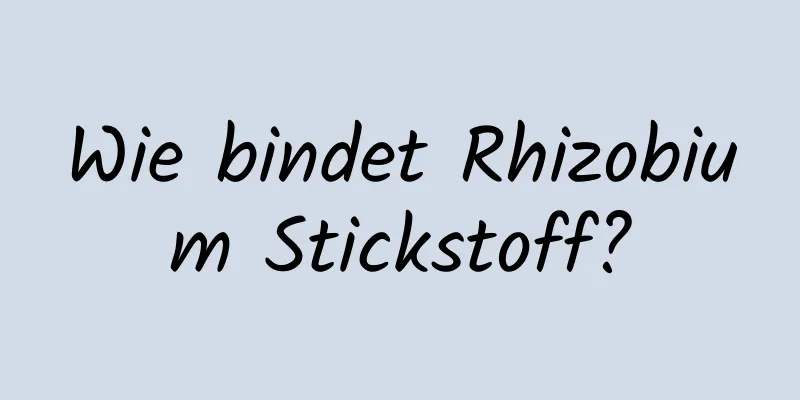 Wie bindet Rhizobium Stickstoff?