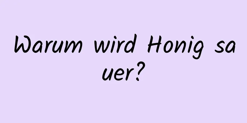 Warum wird Honig sauer?