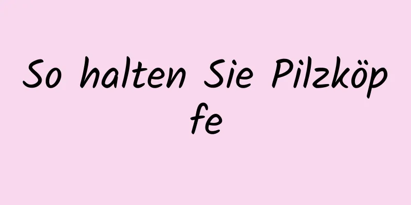 So halten Sie Pilzköpfe