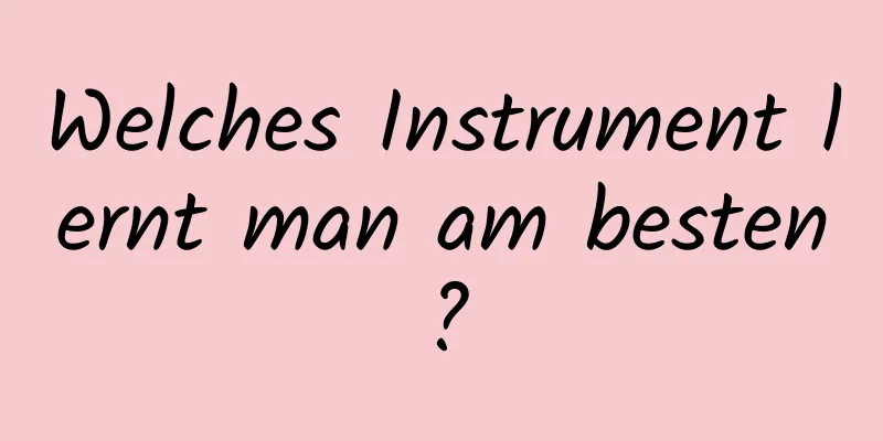 Welches Instrument lernt man am besten?