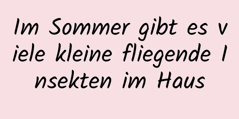 Im Sommer gibt es viele kleine fliegende Insekten im Haus