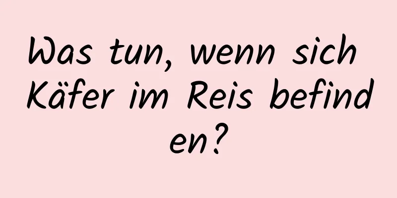 Was tun, wenn sich Käfer im Reis befinden?