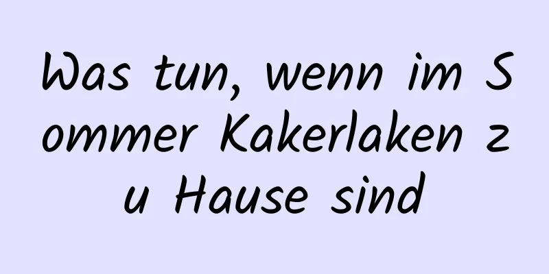 Was tun, wenn im Sommer Kakerlaken zu Hause sind
