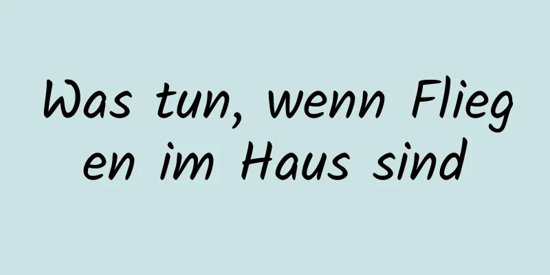 Was tun, wenn Fliegen im Haus sind