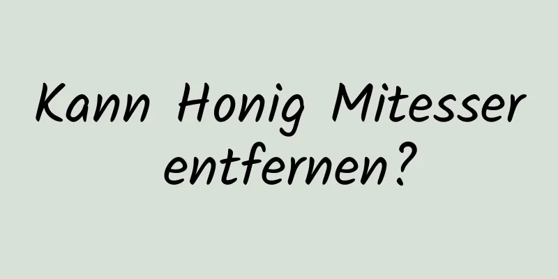 Kann Honig Mitesser entfernen?