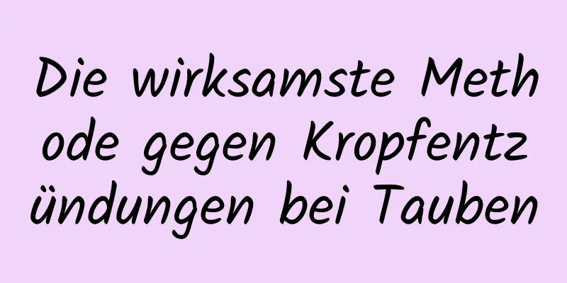Die wirksamste Methode gegen Kropfentzündungen bei Tauben