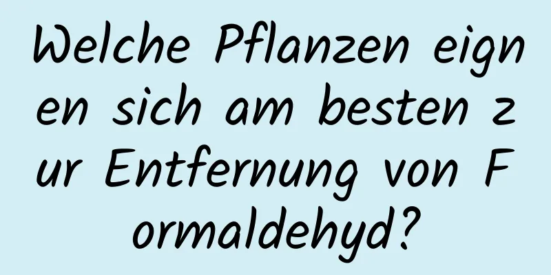 Welche Pflanzen eignen sich am besten zur Entfernung von Formaldehyd?