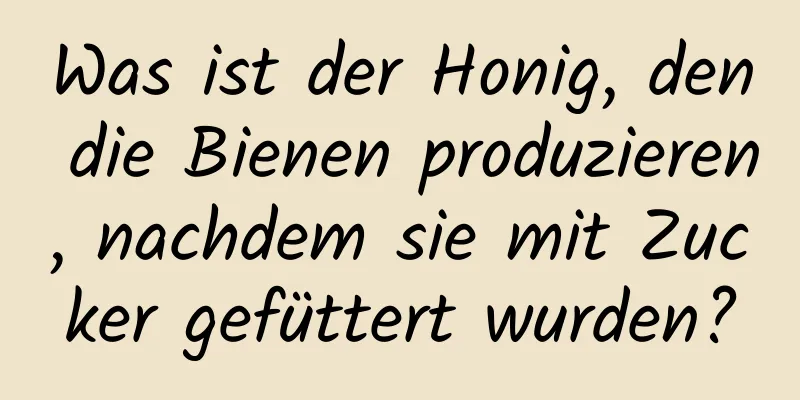Was ist der Honig, den die Bienen produzieren, nachdem sie mit Zucker gefüttert wurden?