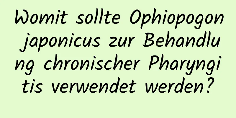 Womit sollte Ophiopogon japonicus zur Behandlung chronischer Pharyngitis verwendet werden?